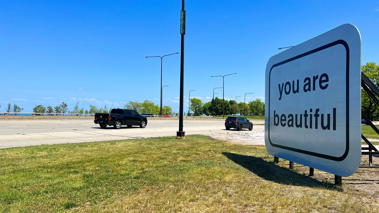 You Are Beautiful, DuSable Lake Shore Drive, Chicago IL