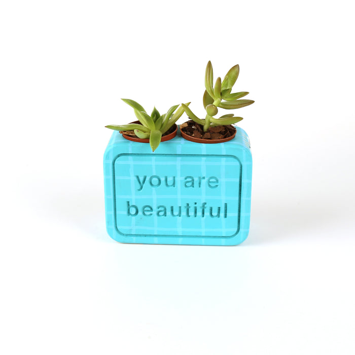 YAB Artist Pot - ewrks