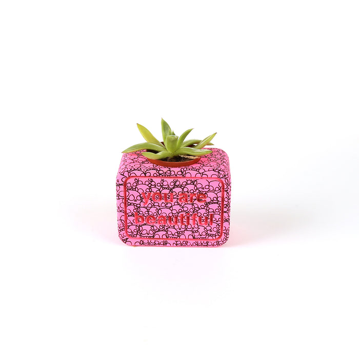 YAB Artist Pot - Zach Bartz