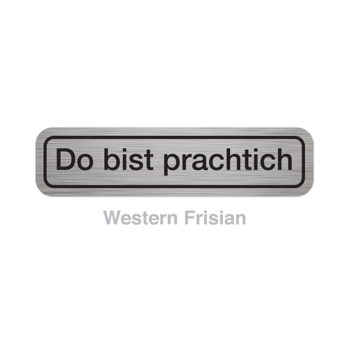 Translation Stickers - Languages M-Z