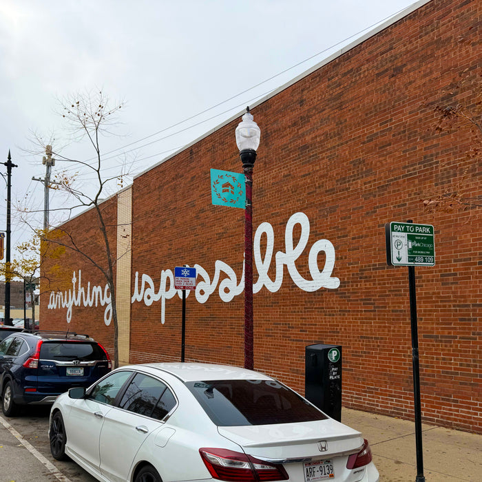 Anything Is Possible – Andersonville, Chicago, IL