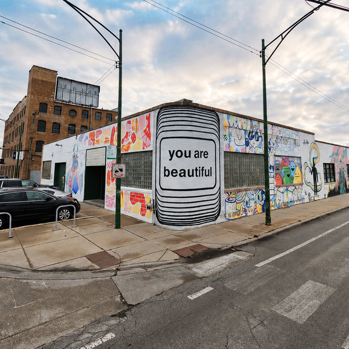 You Are Beautiful Mural, Bucktown, Chicago