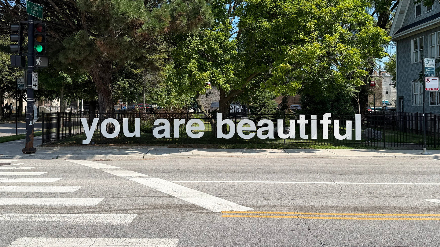 You Are Beautiful - Jefferson Park, Chicago