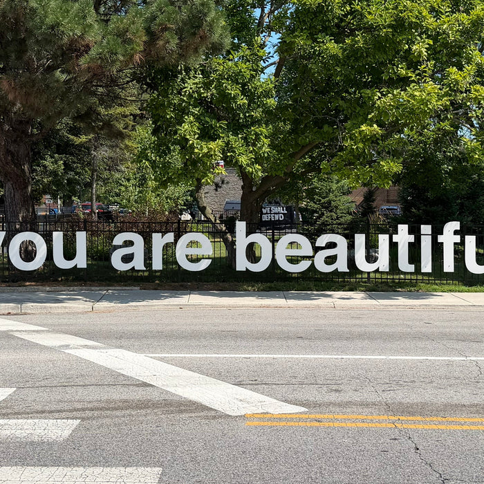 You Are Beautiful - Jefferson Park, Chicago