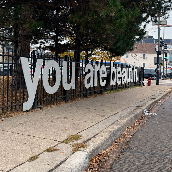 You are beautiful installation at belmont and damen in the roscoe village neighborhood of chicago. 