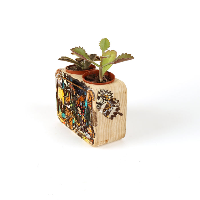 YAB Artist Pot - Angela George