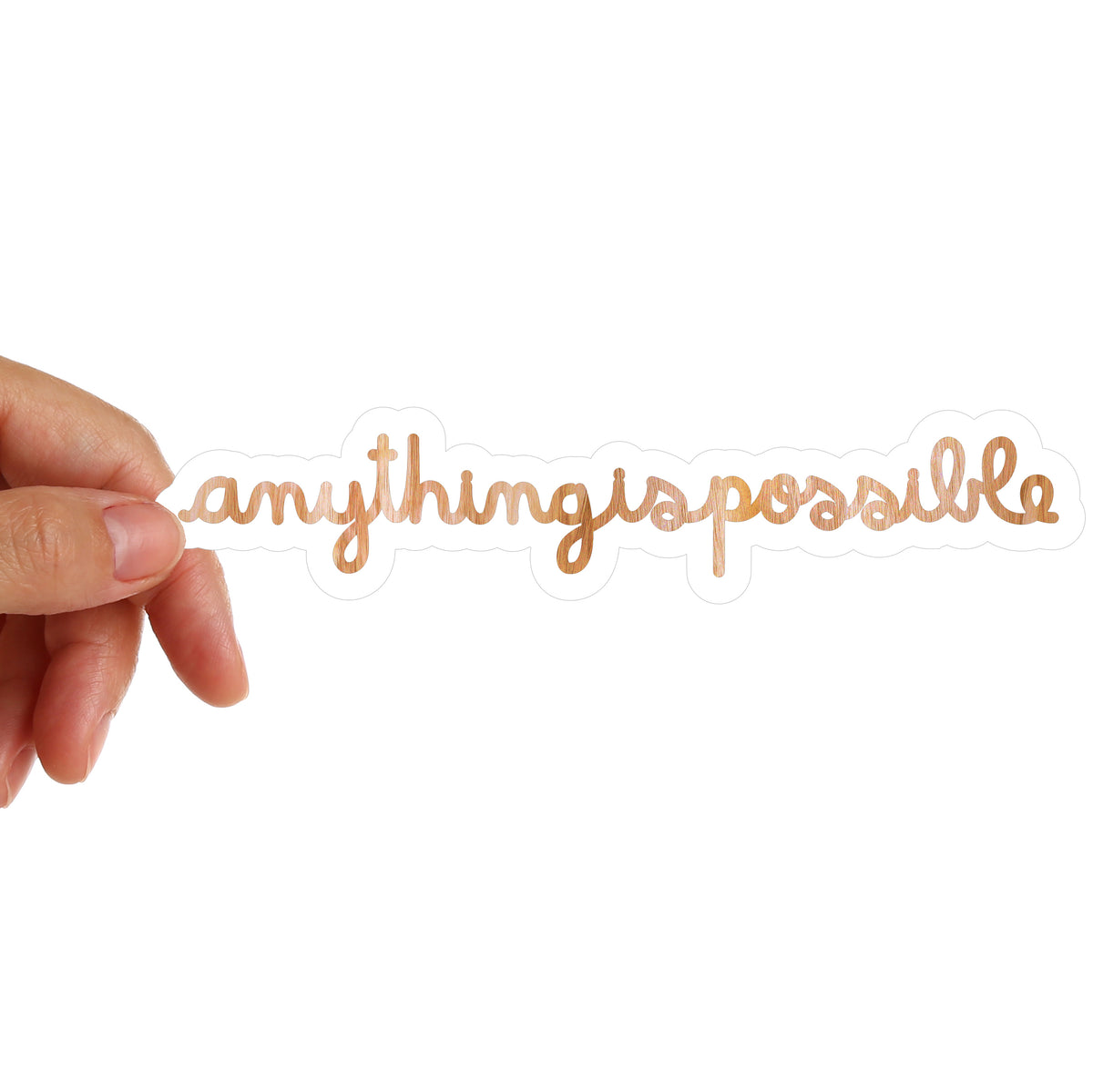 ANYTHING IS POSSIBLE STICKER - TakeShots